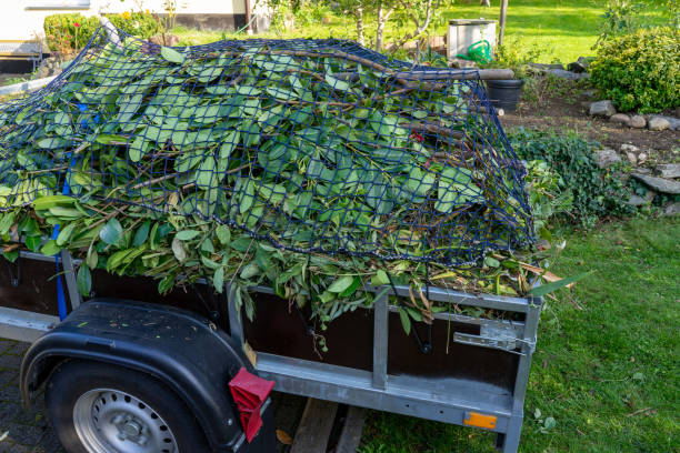 Best Hoarding Cleanup  in River Heights, UT
